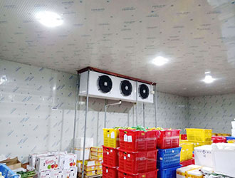 蔬菜保鮮冷庫造價多少錢一平方？